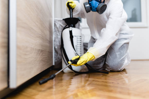Wasp Removal Services in Waldo, FL