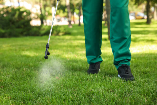 Reliable Waldo, FL Pest Control Solutions