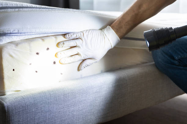 Best Pest Control Near Me  in Waldo, FL