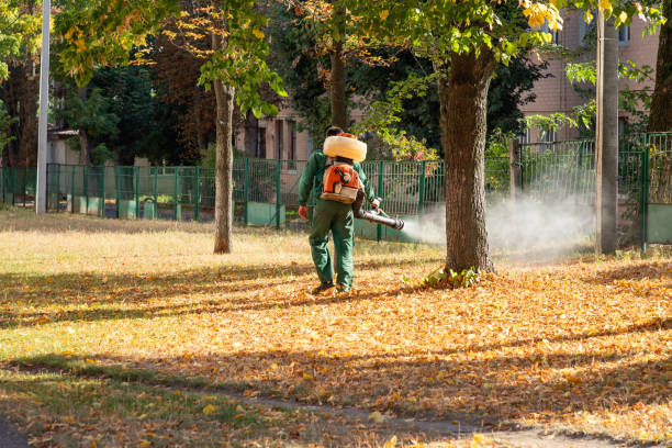 Best Termite Control Services  in Waldo, FL