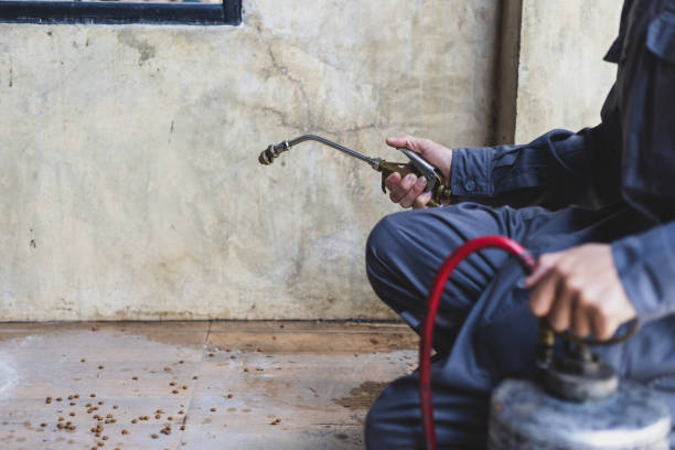 Best Local Pest Control Services  in Waldo, FL